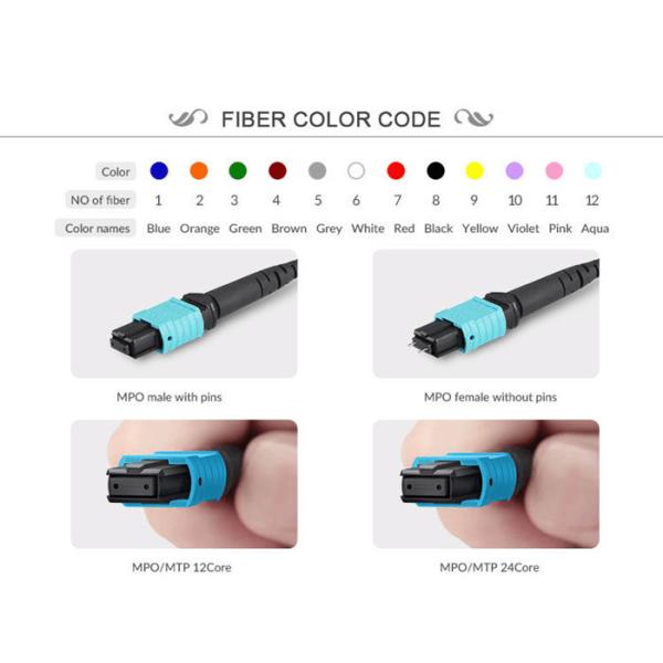 OM2 3.0MM Female To Female MTP MPO Fiber Cable