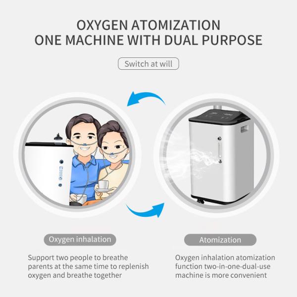 Quality Small Purity 93% Portable O2 Concentrator 10L Class II for sale
