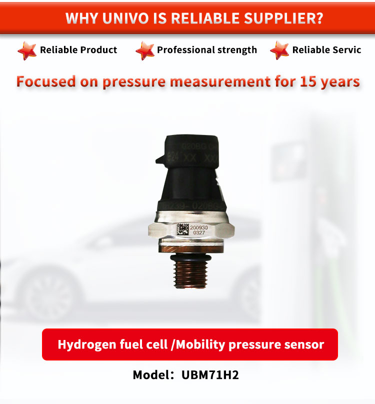 Customized Pressure Sensors For Hydrogen Mobility And Storage UBM71H2Y EC-79 TE