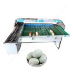 Egg Grade Machine Egg Sort Machine Egg Grader Egg Grader Machine