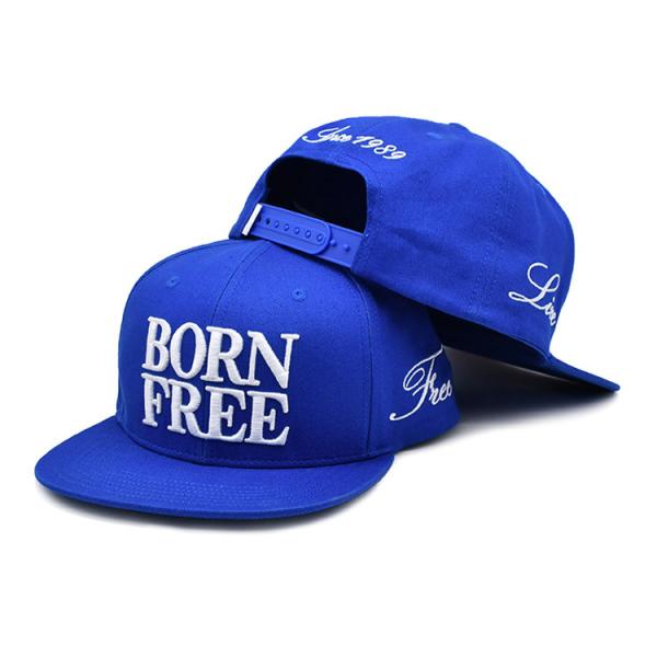 Quality BSCI Factory Custom Hat Snapback 3d Embroidery Snap Back Caps for sale