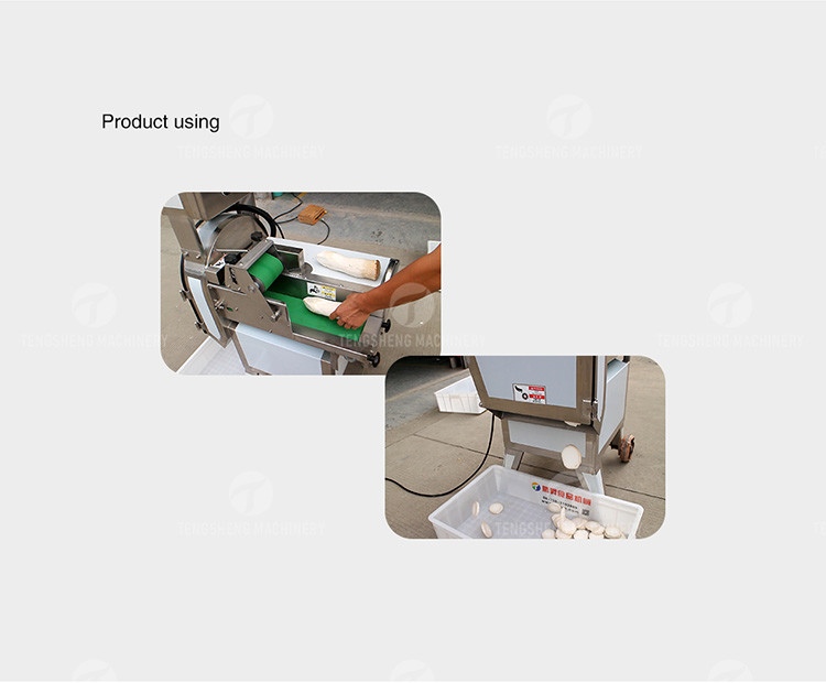 Celery Chinese Cabbage Vegetable Processing Machine Single Head Tengsheng