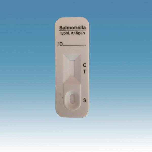 Typhoid Rapid Test Kit Medical Diagnostics Typhoid Antigen Professional Test Cassettes