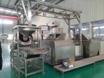 Batch Multi Flavored Peanut Frying Processing Line Automatic Streamlined