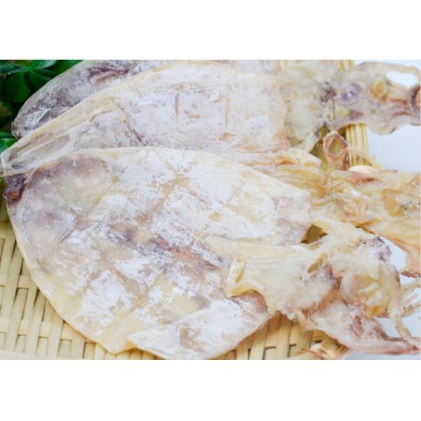 Salt Whole Dried Squid Todarodes Pacificus 18% - 20% Moisture