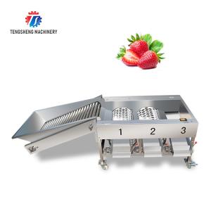 China Automatic Citrus Apple Grading Machine Potato Sorting Equipment Food Processor on sale