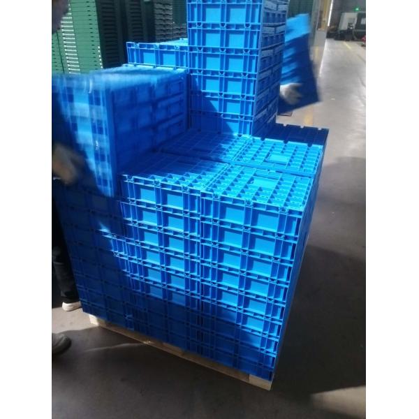 Foldable and Collapsible Egg Crate Meshy Box for Convenient Egg Transportation Solutions