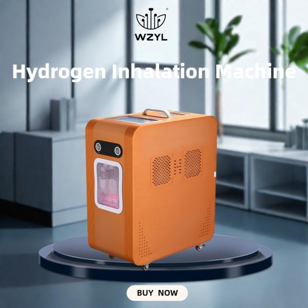 Quality Large Flow Hydrogen-absorbing Machine Anti-inflammatory 3000ml WEIZI Frequency 50Hz Flow 2000ML H2 1000ML O2 for sale