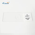 Laboratory Teaching Protozoa Algae 20pcs Microscope Glass Slides