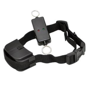 China Efficient Remote Pet Training Collar , Leash-Walking Dog Training Device on sale