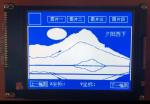 Graphic Monochrome LCM LCD Display 240128 Lcd Module