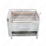 New Design Organic Vegetables With Ce Certificate