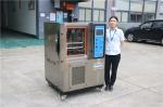 Programmable Constant Laboratory Temperature Humidity Controlled Cabinets