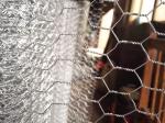 Galvanized Or Pvc Coated Hexagonal Wire Mesh , Hexagonal Chicken Wire Mesh