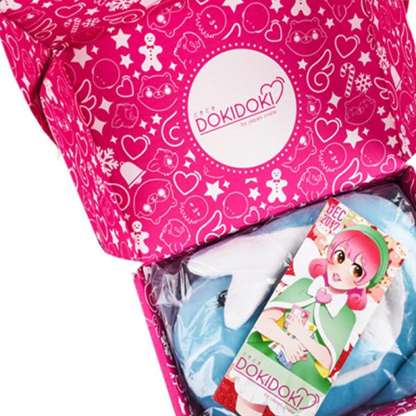 Custom Color HigH Printing Logo Quality Best Price Sexy Bra Packaging Corrugated Mailer Boxes