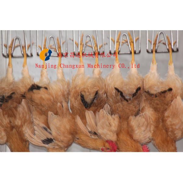 Suit for Chicken Duck Goose Bird Halal Automatic Control Electric Chicken Stunner