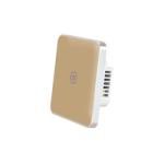 WiFi 240V 2 Gang Tuya Smart Switch With Google Alexa Voice Control