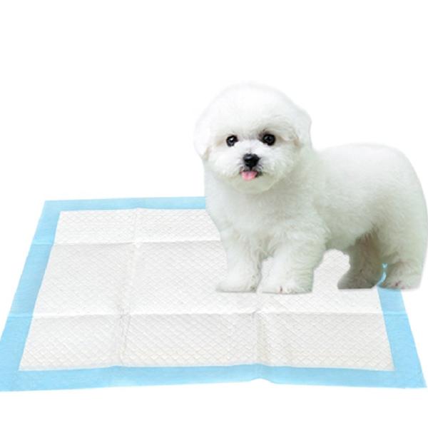 Quality Waterproof 60*90cm Disposable Puppy Training Pads Dry Surface for sale