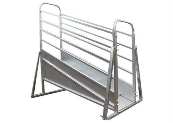 Quality Adjustable Mobile Cattle Ramp Overhead Bracing 3.6 / 4.8m Fixed Height for sale