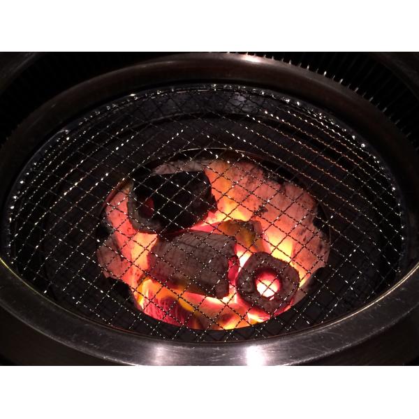 Galvanized Cross Edging Stamping Disposable BBQ Mesh