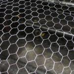 Economical Custom Design Galvanized Hexagonal Wire Mesh Fencing Chicken Coop