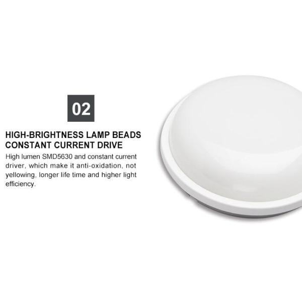 Round LED Bulkhead Lamp Decorative IK09 Energy Saving 15W 20W 24W