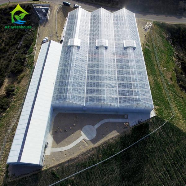 Multispan 28m-50m Length Light Deprivation Greenhouse With Blackout System