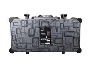 10 Inch Dj Sound Speaker Wireless Bluetooth For Karaoke Player / Computer
