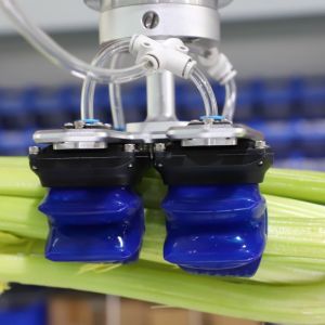 Buy cheap Food Industry 1100g Universal Robot Gripper Saving Manpower product