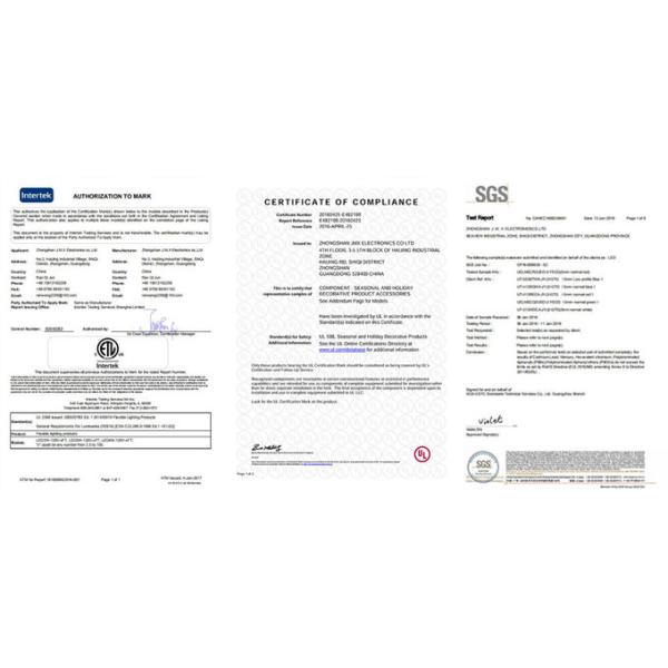 Top quality 2 wires 110/220V LED rope light Christmas decorative lighting outdoor festive lighting supplier best price