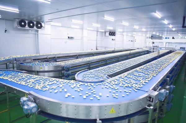 Quality Independent Controlled Cup Cake Cooling Multi Way Curved Belt Conveyor for sale