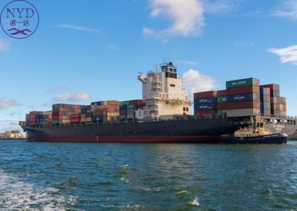 Quality Cargo FCL Sea Shipment Container DDP International Logistics Service for sale