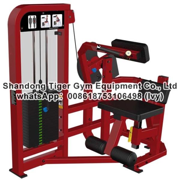 Quality Single Station Gym fitness equipment machine Abdominal Crunch exercise machine for sale