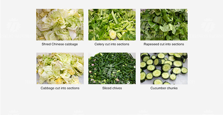 Balsam Pear Rutabaga Industrial Fruit Slicer , Fresh Organism Vegetable Cube Cutting Machine