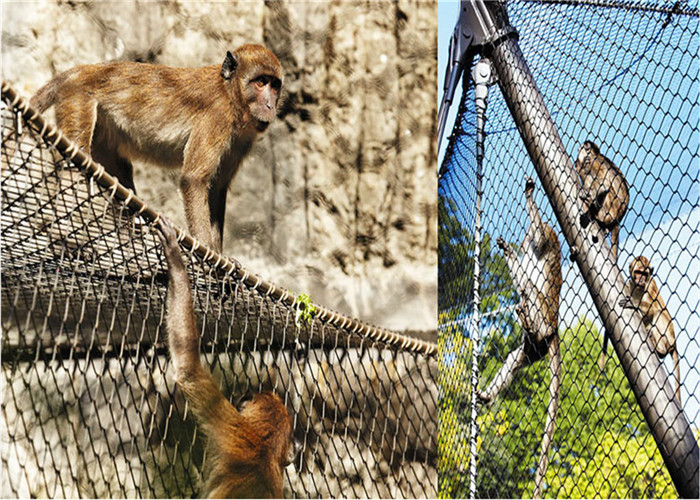 Knitted Type 2.4mm Ss Rope Mesh Tiger Monkey Enclosure In Zoo Fence