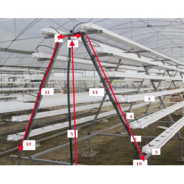 High Density NFT Hydroponics System Fast Harvest Cycle Automatic Control