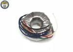 TT1101120 Toroidal Power Transformer With Secure Electrical Insulation