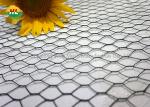 Lightweight Hexagonal Wire Netting Galvanized For Craft Projects