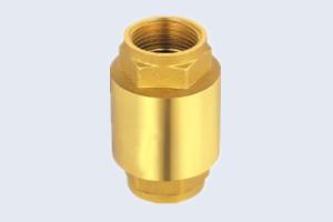 China Heavy Brass Valve 1.6Mpa Spring Non Return Valve on sale