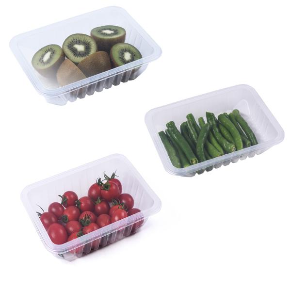 110kg Table Top Tray Sealing Machine MAP Food Packing Machine For Vegetable