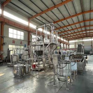 SUS304 Material Tomato Paste Processing Line 20 - 1000 Tons/Day