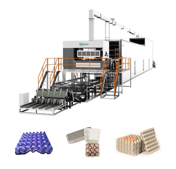 Quality Paper Quail Egg Tray Making Machine Fully Automated Egg Box Machine for sale