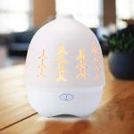 Ultrasonic Aromatherapy Humidifier 80ml Ceramic Aroma Diffuser