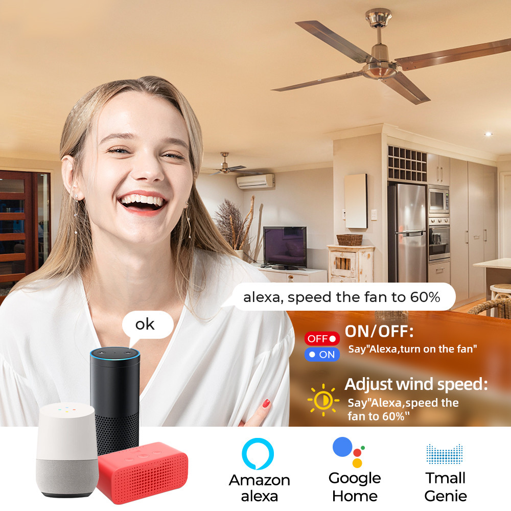 SMATRUL Tuya WiFi Smart Fan Speed Regulation DIY Mini Switch Module Remote Control Timer on Off 220V for Alexa Google Home