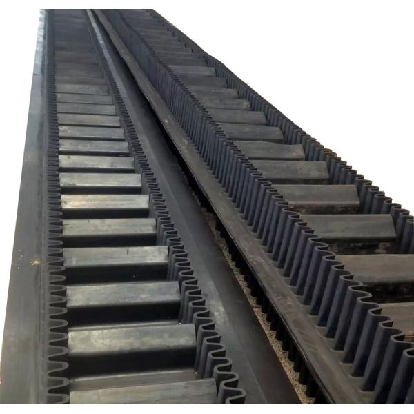 Rubber Crush Machine Endless Nylon Conveyor Belt with Heat Resistant Material