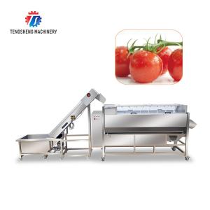 Buy cheap Multifunctional Fruit And Vegetable Processing Line Hoisting Machine product