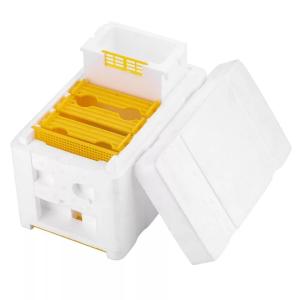 Single Layer Foam Bee Hive Equipment Mating Breeding Box Beekeeping Queen Rearing