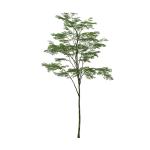 Custom Corner Artificial Ficus Tree Space Decoration Minimalist Style