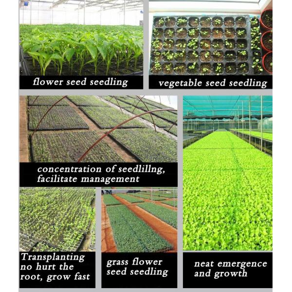 105 Holes Rectangular Polystyrene Seed Raising Tray Deep Cell Plug Trays 540X280mm