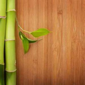China Carbonized Wood Timber Flooring Standard Bamboo Wall Panel Solid Bamboo Flooring on sale